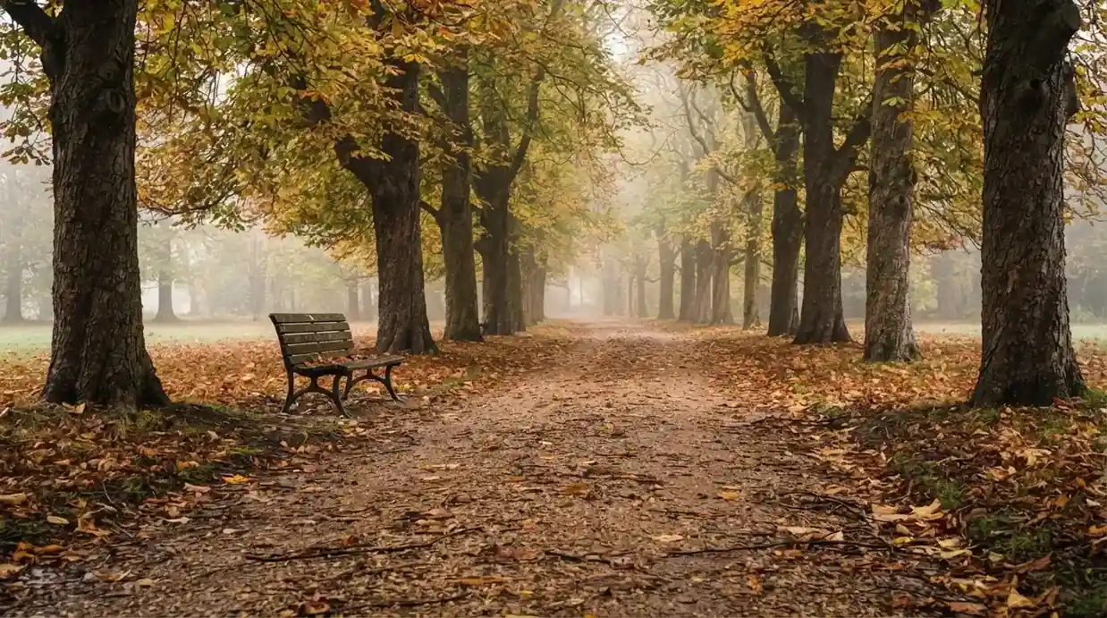 Eine Parkallee mit Kastanienbäumen und einer leeren Bank, Herbstlaub bedeckt den Kiesweg.